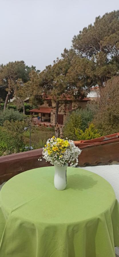 סייד Tas Motel מראה חיצוני תמונה